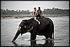 Elephant, Dutch Girl, Mahout Photo: Tourists gather for the morning elephant bath at Chitwan National Park.  For a nominal price, tourists can help wash the elephants or settle for a ride and a soaking.