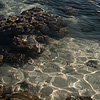 photo: Low Life - Corals seen through clear ocean water at low tide. 