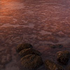 Sanguine Skies Photo: The coral-filled waters at low tide are colored pink by a setting sun.