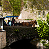 Canal Crossing Photo: A horse and buggy carry tourists over a canal near the Begijnhof.