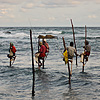 Vertical Angling Photo: A group of Sri Lankan stilt fishermen fish in a rough ocean (archived photos, on the weekends).