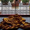 Saffron Monk Clothes Photo: What appears to be the hastily discarded saffron robes of a monk in Ayuthaya.