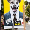 Beast Ballot Photo: Campaign posters for upcoming elections featuring a salivating dog.