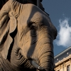 photo: Elephant Emblem - The symbol of Chambery, the Elephant Fountain in the center of downtown. 