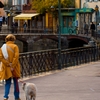 Dog Walk Photo: A local resident walks her dog near Palais de l'Isle in Annecy, France.